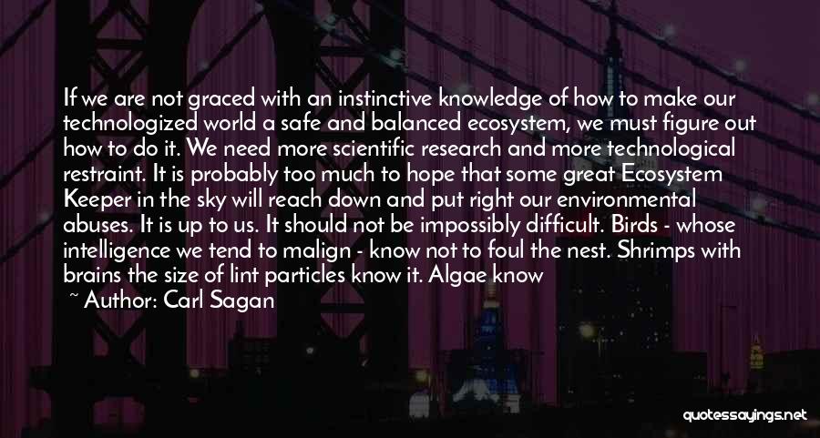 Carl Sagan Quotes: If We Are Not Graced With An Instinctive Knowledge Of How To Make Our Technologized World A Safe And Balanced