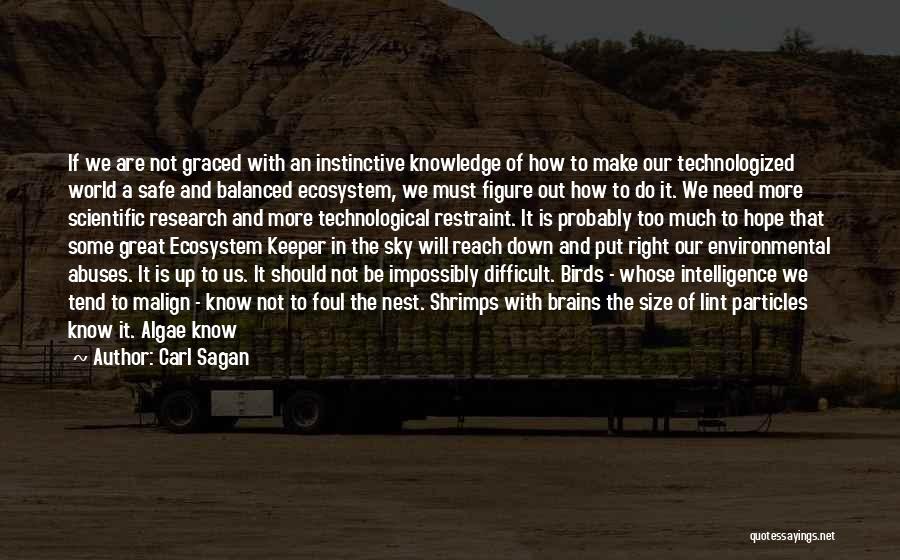 Carl Sagan Quotes: If We Are Not Graced With An Instinctive Knowledge Of How To Make Our Technologized World A Safe And Balanced