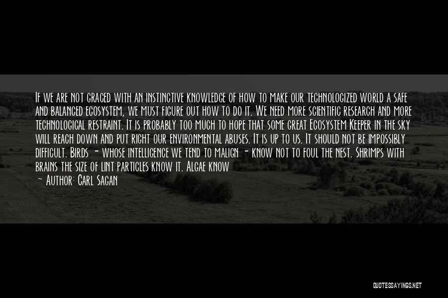 Carl Sagan Quotes: If We Are Not Graced With An Instinctive Knowledge Of How To Make Our Technologized World A Safe And Balanced