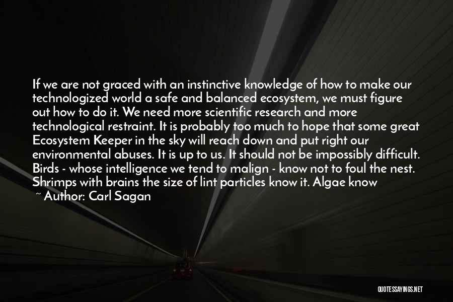 Carl Sagan Quotes: If We Are Not Graced With An Instinctive Knowledge Of How To Make Our Technologized World A Safe And Balanced