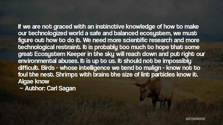 Carl Sagan Quotes: If We Are Not Graced With An Instinctive Knowledge Of How To Make Our Technologized World A Safe And Balanced