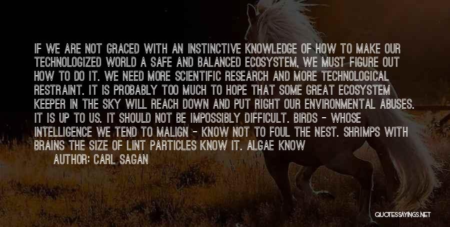 Carl Sagan Quotes: If We Are Not Graced With An Instinctive Knowledge Of How To Make Our Technologized World A Safe And Balanced