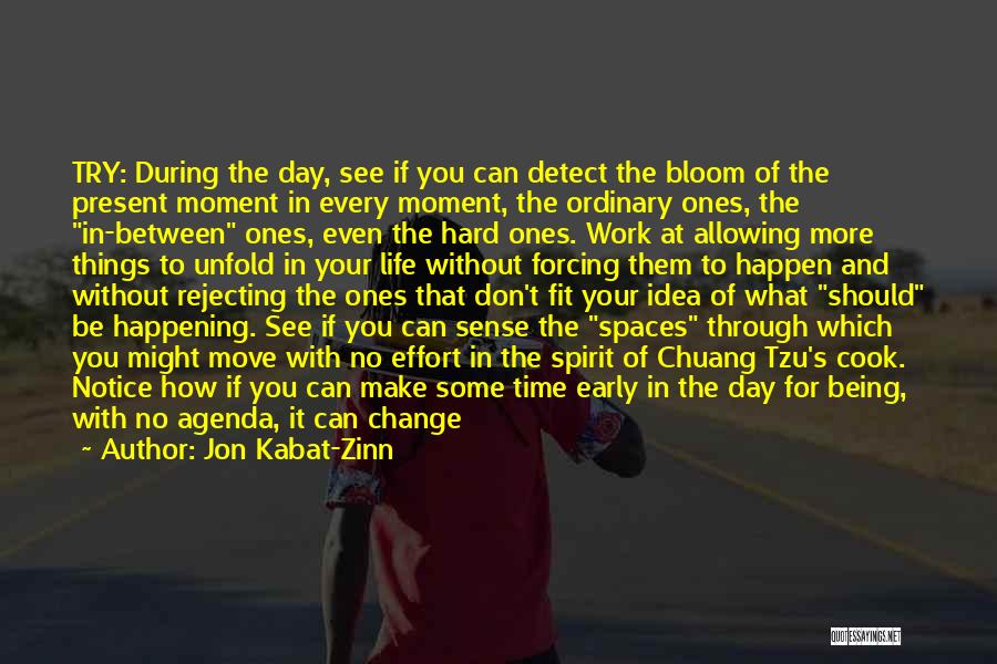 Jon Kabat-Zinn Quotes: Try: During The Day, See If You Can Detect The Bloom Of The Present Moment In Every Moment, The Ordinary