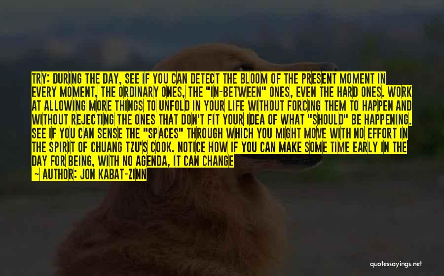 Jon Kabat-Zinn Quotes: Try: During The Day, See If You Can Detect The Bloom Of The Present Moment In Every Moment, The Ordinary