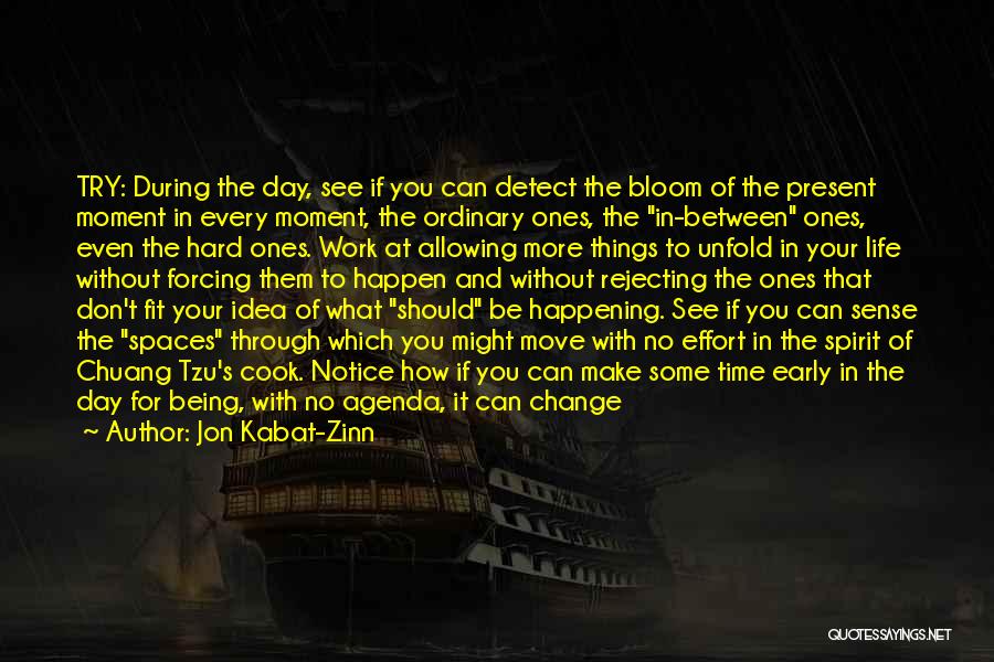 Jon Kabat-Zinn Quotes: Try: During The Day, See If You Can Detect The Bloom Of The Present Moment In Every Moment, The Ordinary