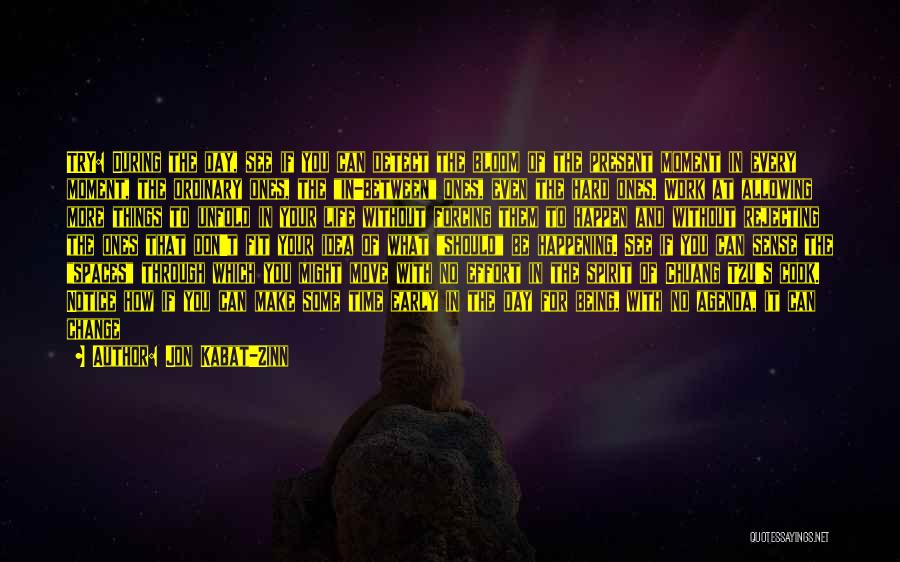 Jon Kabat-Zinn Quotes: Try: During The Day, See If You Can Detect The Bloom Of The Present Moment In Every Moment, The Ordinary