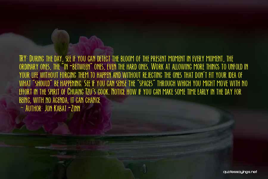 Jon Kabat-Zinn Quotes: Try: During The Day, See If You Can Detect The Bloom Of The Present Moment In Every Moment, The Ordinary