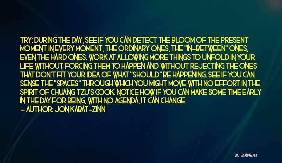 Jon Kabat-Zinn Quotes: Try: During The Day, See If You Can Detect The Bloom Of The Present Moment In Every Moment, The Ordinary