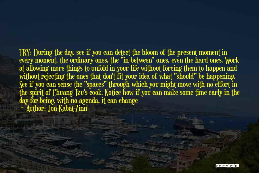 Jon Kabat-Zinn Quotes: Try: During The Day, See If You Can Detect The Bloom Of The Present Moment In Every Moment, The Ordinary