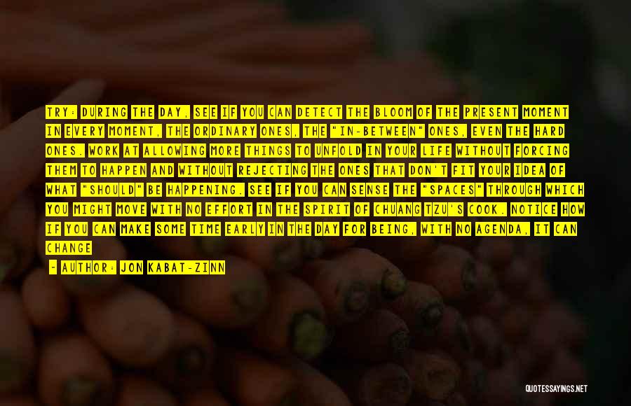 Jon Kabat-Zinn Quotes: Try: During The Day, See If You Can Detect The Bloom Of The Present Moment In Every Moment, The Ordinary
