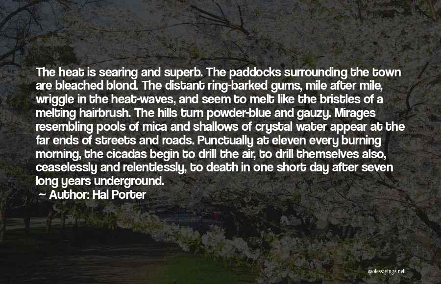 Hal Porter Quotes: The Heat Is Searing And Superb. The Paddocks Surrounding The Town Are Bleached Blond. The Distant Ring-barked Gums, Mile After