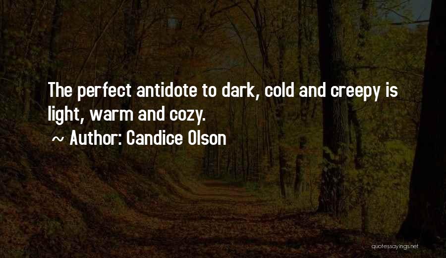 Candice Olson Quotes: The Perfect Antidote To Dark, Cold And Creepy Is Light, Warm And Cozy.