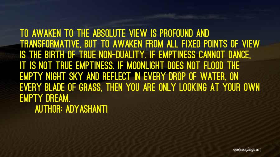 Adyashanti Quotes: To Awaken To The Absolute View Is Profound And Transformative, But To Awaken From All Fixed Points Of View Is