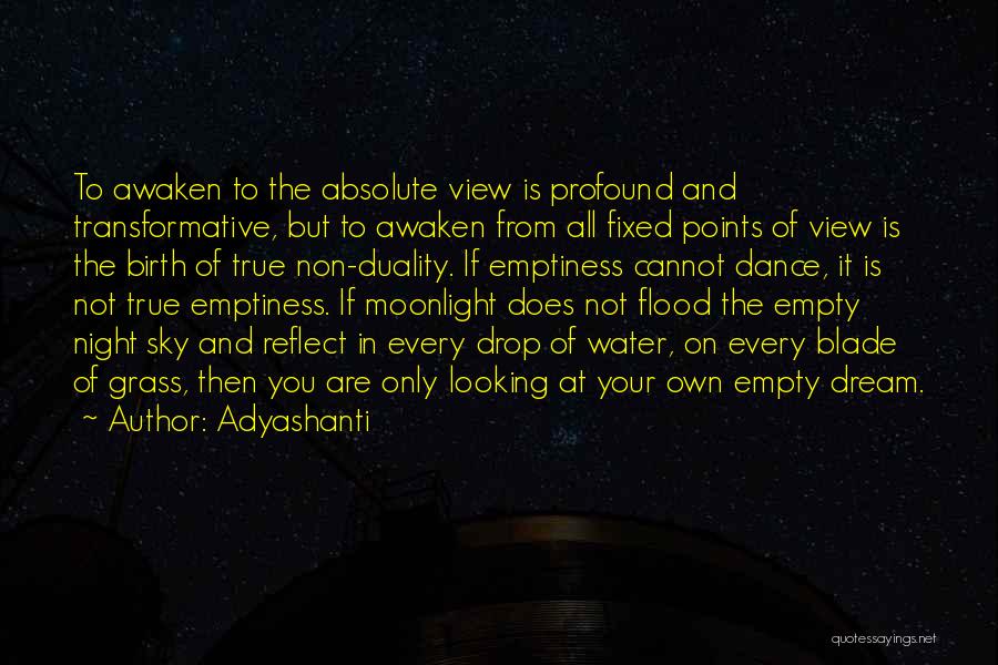 Adyashanti Quotes: To Awaken To The Absolute View Is Profound And Transformative, But To Awaken From All Fixed Points Of View Is