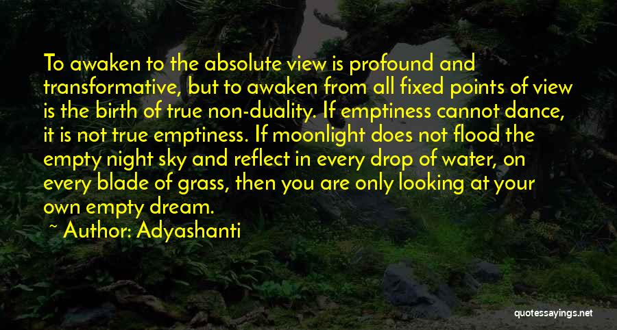 Adyashanti Quotes: To Awaken To The Absolute View Is Profound And Transformative, But To Awaken From All Fixed Points Of View Is