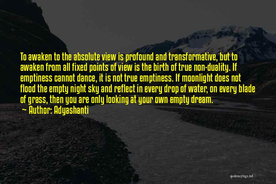 Adyashanti Quotes: To Awaken To The Absolute View Is Profound And Transformative, But To Awaken From All Fixed Points Of View Is