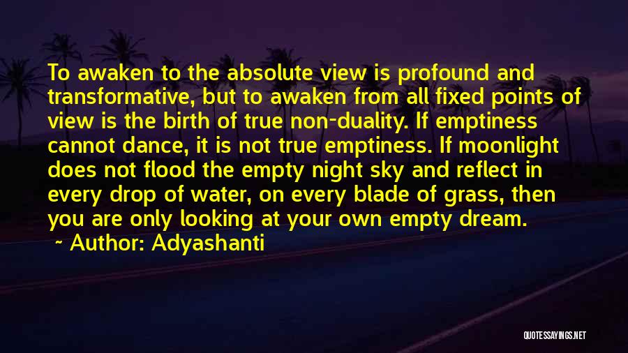 Adyashanti Quotes: To Awaken To The Absolute View Is Profound And Transformative, But To Awaken From All Fixed Points Of View Is