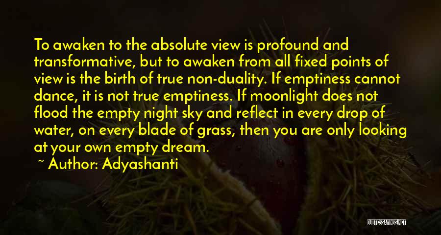 Adyashanti Quotes: To Awaken To The Absolute View Is Profound And Transformative, But To Awaken From All Fixed Points Of View Is