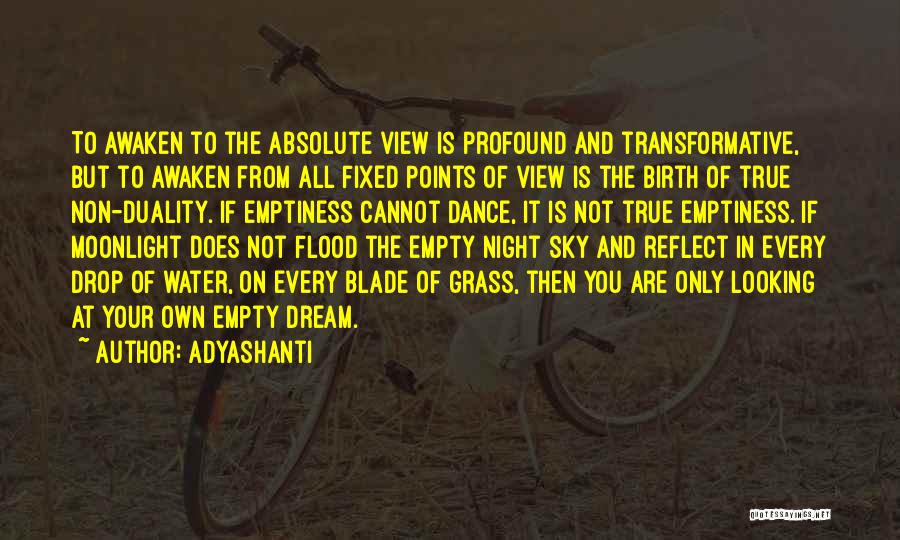 Adyashanti Quotes: To Awaken To The Absolute View Is Profound And Transformative, But To Awaken From All Fixed Points Of View Is