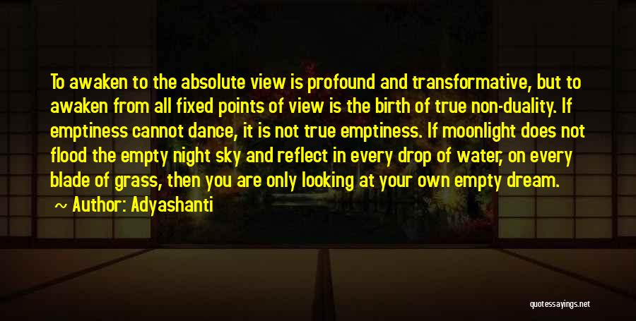 Adyashanti Quotes: To Awaken To The Absolute View Is Profound And Transformative, But To Awaken From All Fixed Points Of View Is