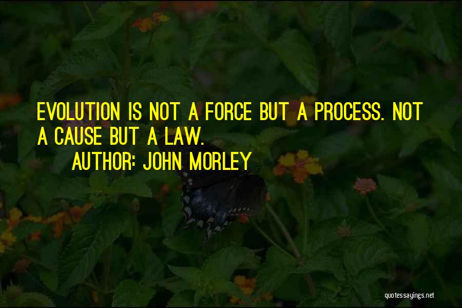 John Morley Quotes: Evolution Is Not A Force But A Process. Not A Cause But A Law.