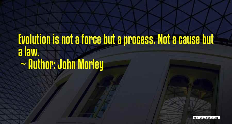 John Morley Quotes: Evolution Is Not A Force But A Process. Not A Cause But A Law.