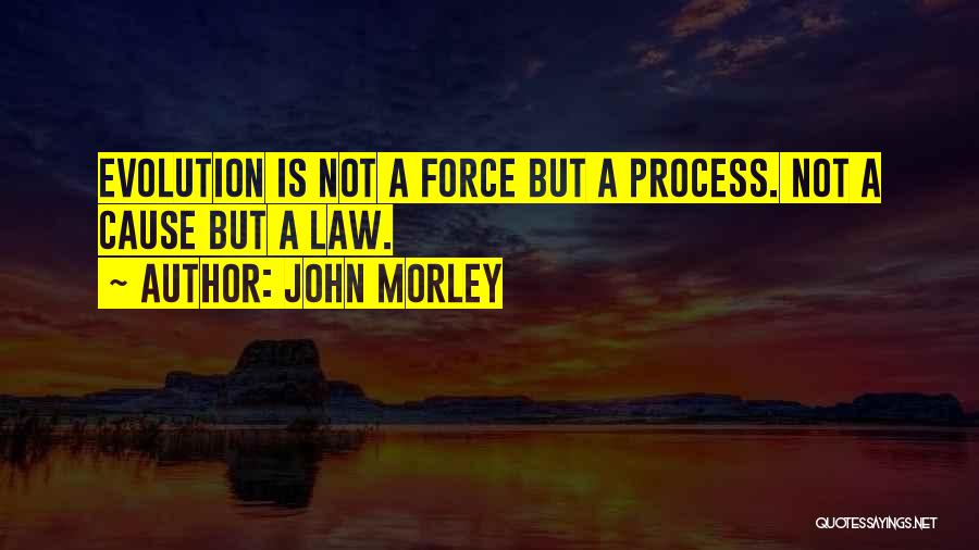 John Morley Quotes: Evolution Is Not A Force But A Process. Not A Cause But A Law.
