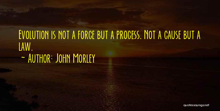 John Morley Quotes: Evolution Is Not A Force But A Process. Not A Cause But A Law.