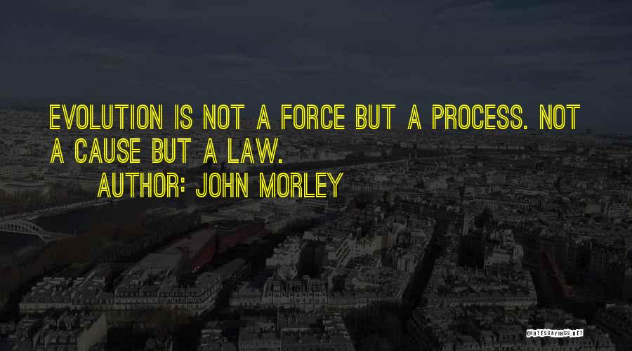 John Morley Quotes: Evolution Is Not A Force But A Process. Not A Cause But A Law.