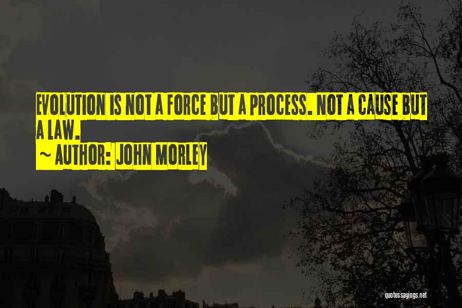 John Morley Quotes: Evolution Is Not A Force But A Process. Not A Cause But A Law.