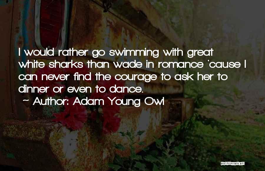 Adam Young Owl Quotes: I Would Rather Go Swimming With Great White Sharks Than Wade In Romance 'cause I Can Never Find The Courage