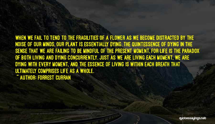 Forrest Curran Quotes: When We Fail To Tend To The Fragilities Of A Flower As We Become Distracted By The Noise Of Our