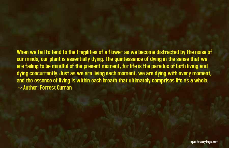 Forrest Curran Quotes: When We Fail To Tend To The Fragilities Of A Flower As We Become Distracted By The Noise Of Our