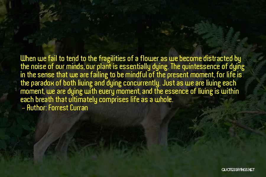 Forrest Curran Quotes: When We Fail To Tend To The Fragilities Of A Flower As We Become Distracted By The Noise Of Our