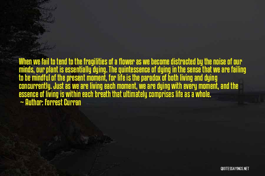 Forrest Curran Quotes: When We Fail To Tend To The Fragilities Of A Flower As We Become Distracted By The Noise Of Our