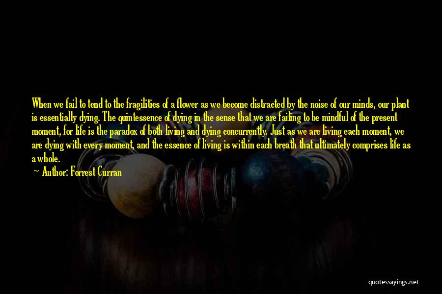 Forrest Curran Quotes: When We Fail To Tend To The Fragilities Of A Flower As We Become Distracted By The Noise Of Our