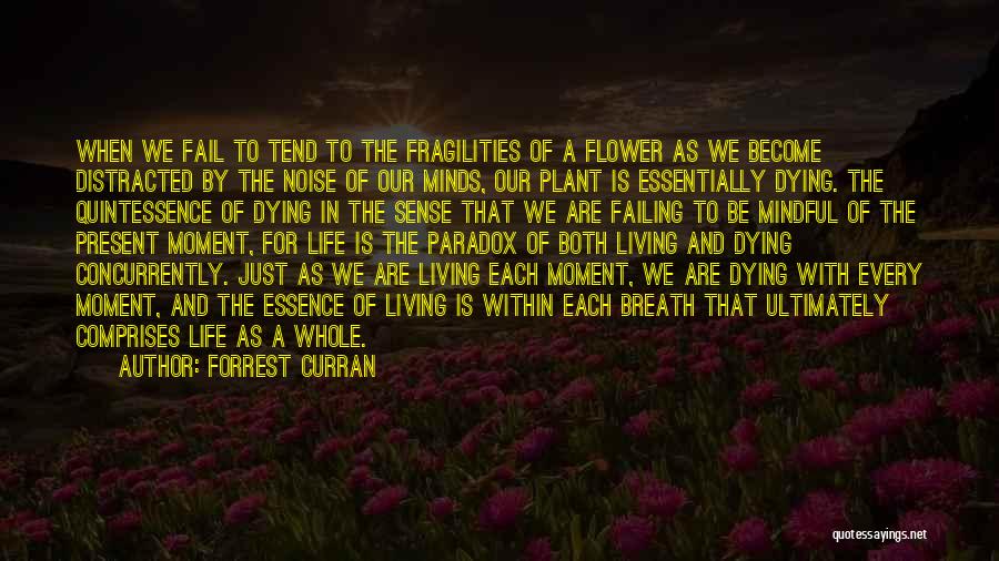 Forrest Curran Quotes: When We Fail To Tend To The Fragilities Of A Flower As We Become Distracted By The Noise Of Our