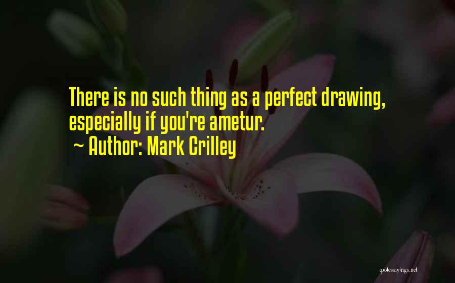Mark Crilley Quotes: There Is No Such Thing As A Perfect Drawing, Especially If You're Ametur.