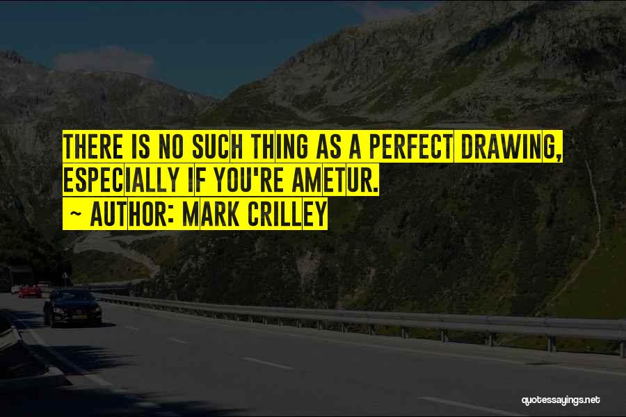 Mark Crilley Quotes: There Is No Such Thing As A Perfect Drawing, Especially If You're Ametur.