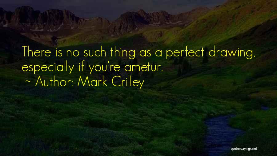 Mark Crilley Quotes: There Is No Such Thing As A Perfect Drawing, Especially If You're Ametur.
