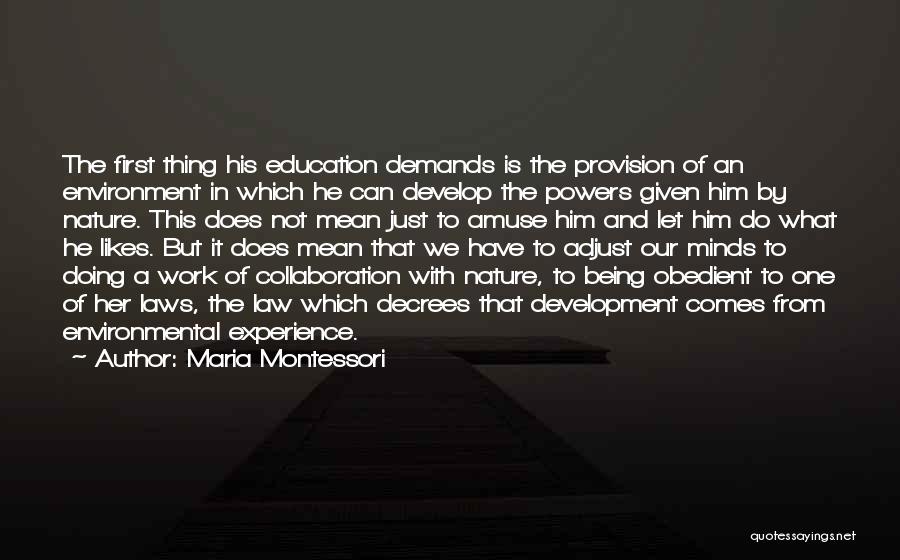 Maria Montessori Quotes: The First Thing His Education Demands Is The Provision Of An Environment In Which He Can Develop The Powers Given