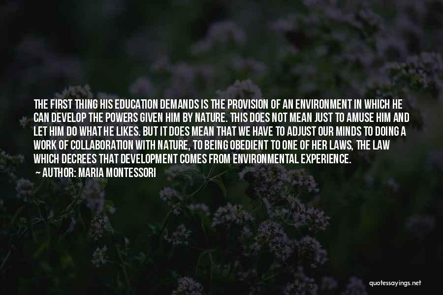 Maria Montessori Quotes: The First Thing His Education Demands Is The Provision Of An Environment In Which He Can Develop The Powers Given