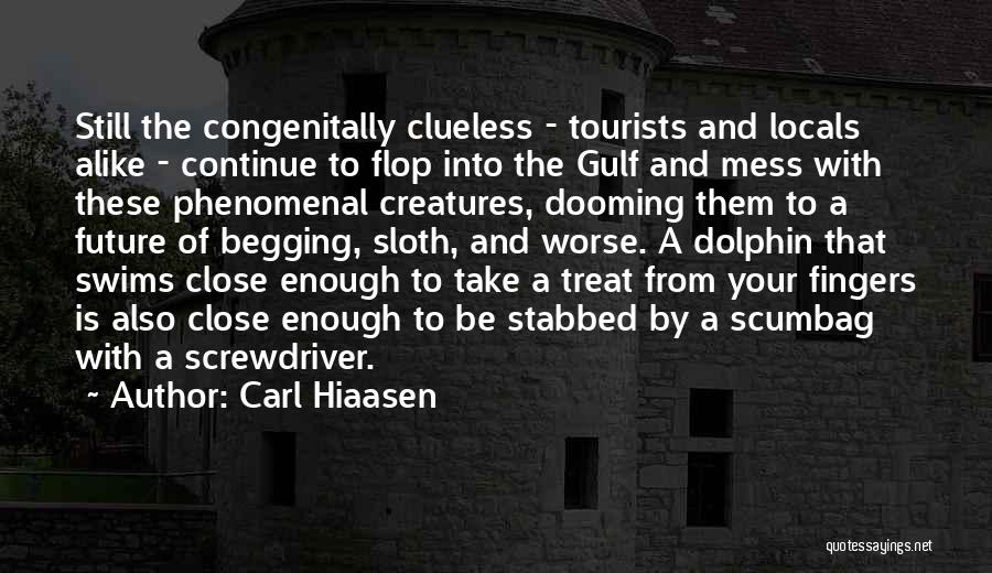 Carl Hiaasen Quotes: Still The Congenitally Clueless - Tourists And Locals Alike - Continue To Flop Into The Gulf And Mess With These