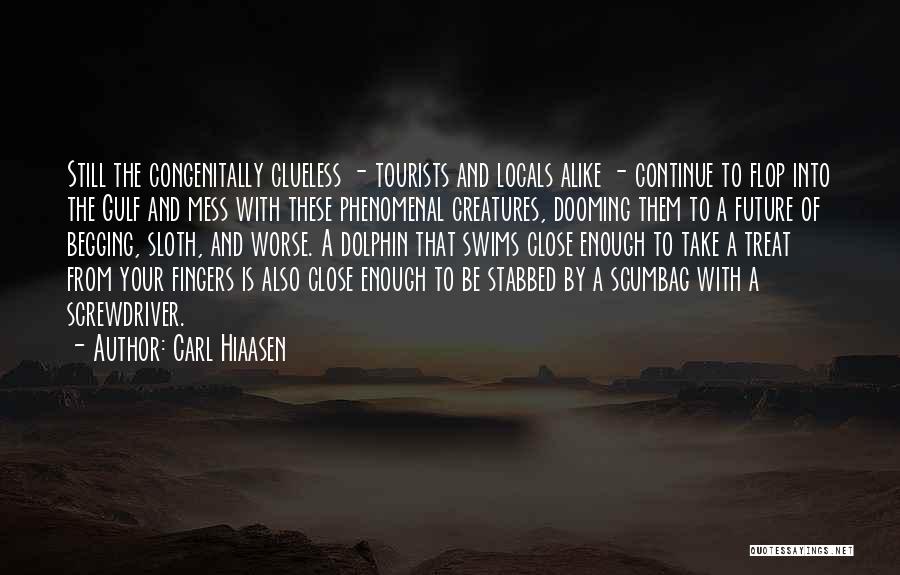 Carl Hiaasen Quotes: Still The Congenitally Clueless - Tourists And Locals Alike - Continue To Flop Into The Gulf And Mess With These