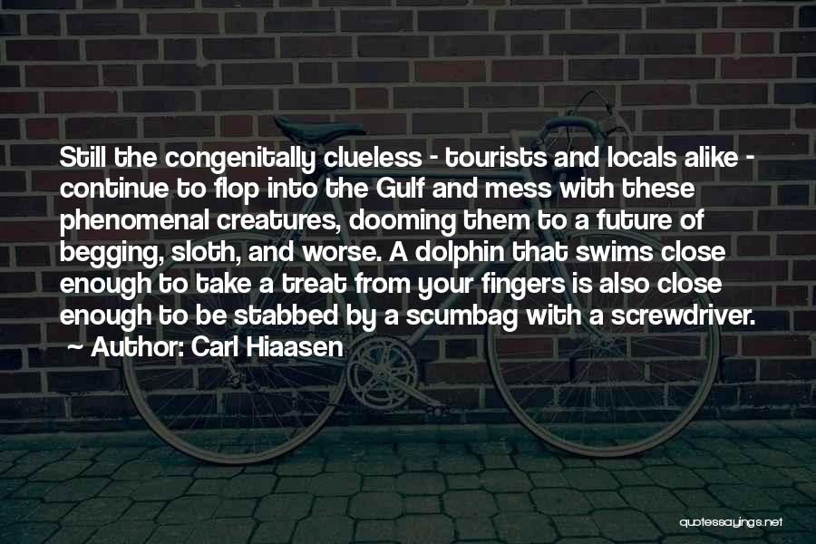 Carl Hiaasen Quotes: Still The Congenitally Clueless - Tourists And Locals Alike - Continue To Flop Into The Gulf And Mess With These