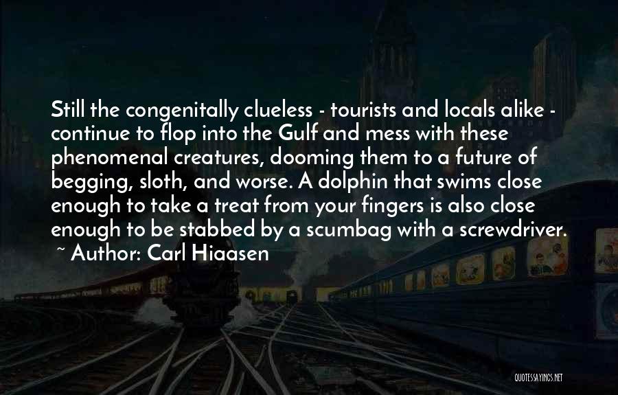 Carl Hiaasen Quotes: Still The Congenitally Clueless - Tourists And Locals Alike - Continue To Flop Into The Gulf And Mess With These