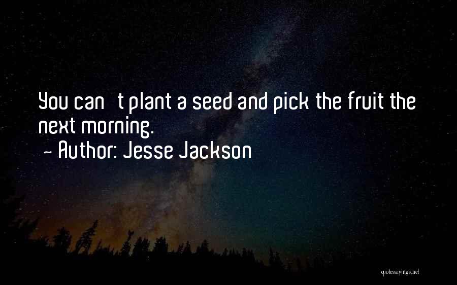 Jesse Jackson Quotes: You Can't Plant A Seed And Pick The Fruit The Next Morning.