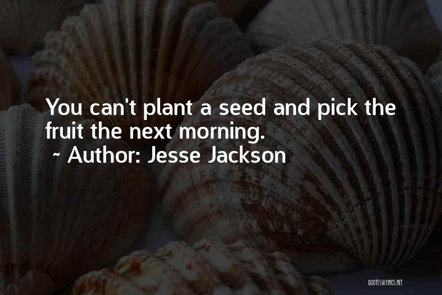 Jesse Jackson Quotes: You Can't Plant A Seed And Pick The Fruit The Next Morning.