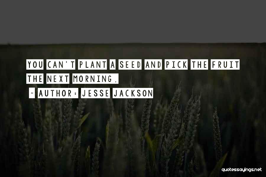 Jesse Jackson Quotes: You Can't Plant A Seed And Pick The Fruit The Next Morning.