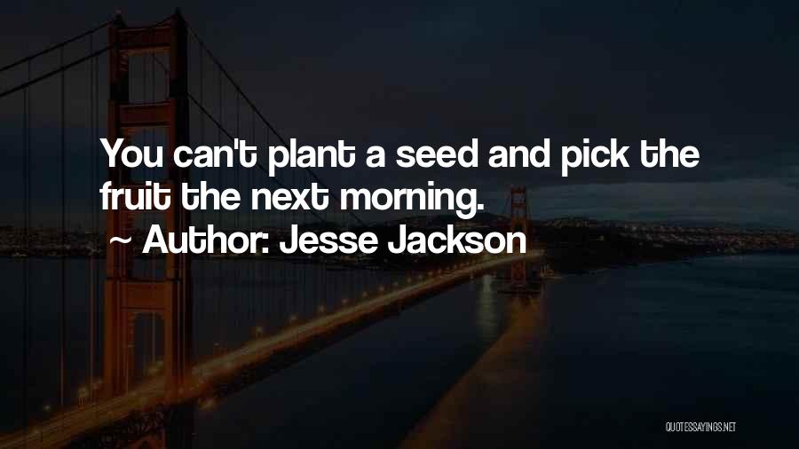 Jesse Jackson Quotes: You Can't Plant A Seed And Pick The Fruit The Next Morning.